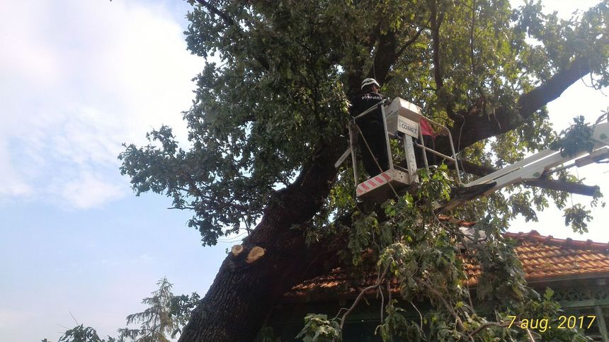 Vaslui: Familie evacuată din locuinţă, după ce, în timpul unei furtuni, un stejar de 150 de ani a căzut peste casă - FOTO
