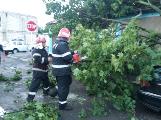 Argeş: Acoperişuri şi pomi smulşi de vânt în timpul unei furtuni, luni seară. VIDEO