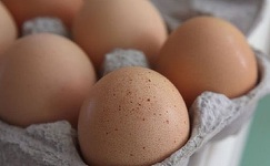 Firma care a adus din Germania gălbenuşul de ou lichid contaminat cu Fipronil este din Timişoara şi nu livrează marfă decât în municipiu