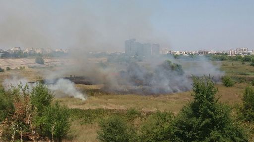 UPDATE - Pompierii intervin pentru stingerea unui incendiu de vegetaţie în Parcul Natural Văcăreşti