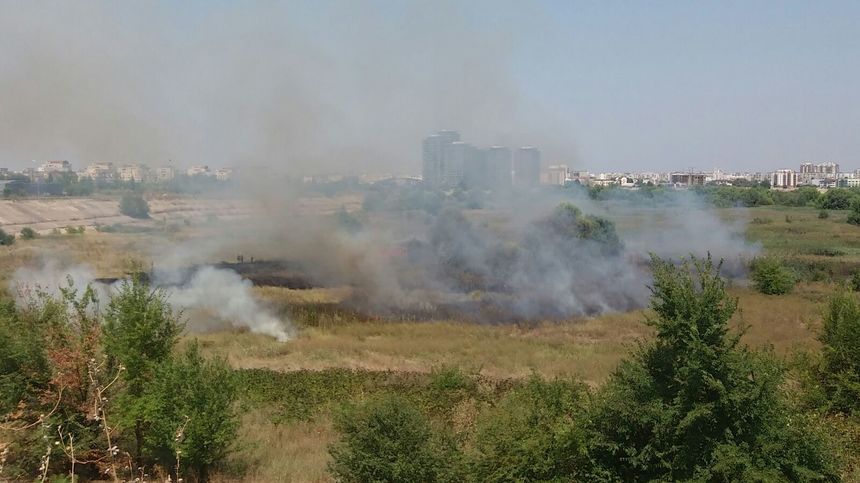 UPDATE - Pompierii intervin pentru stingerea unui incendiu de vegetaţie în Parcul Natural Văcăreşti