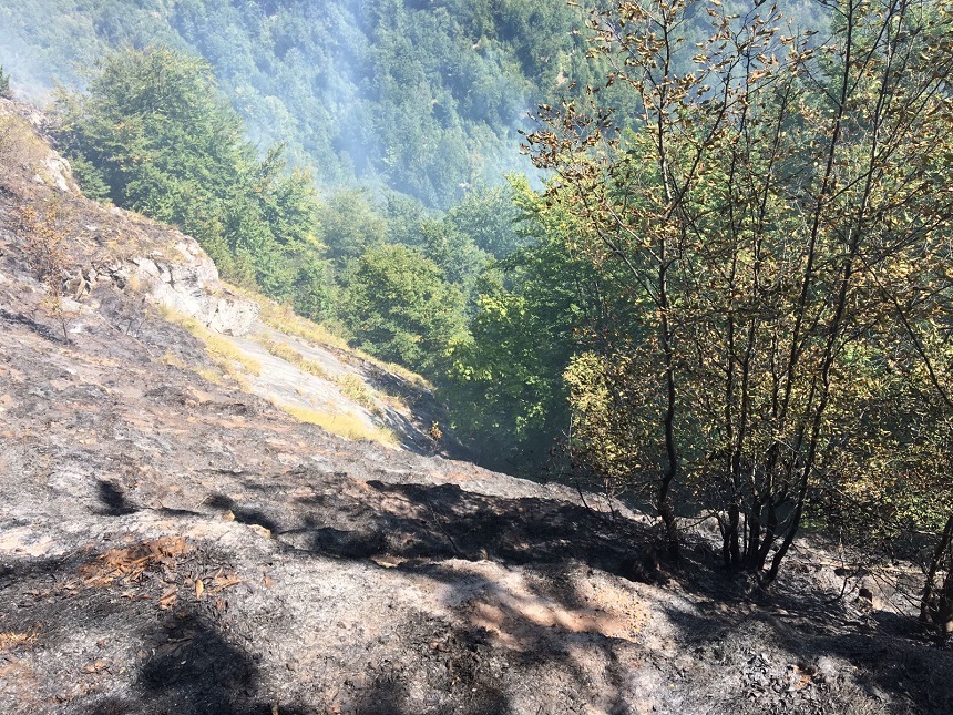 Incendiu de pădure într-o zonă stâncoasă din judeţul Hunedoara. Pompieri, pădurari şi voluntari intervin pentru stingerea focului, fiind pregătit şi un elicopter