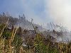 Opt hectare dintr-o plantaţie de conifere din judeţul Bistriţa-Năsăud, cuprinse de flăcări. Peste 30 de pompieri, pădurari şi voluntari intervin pentru stingerea focului