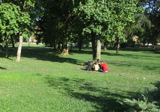 Aproape treizeci de migranţi, găsiţi în două parcuri din Timişoara