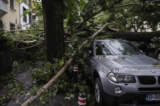 ISU Bucureşti-Ilfov: Opt curţi inundate, cinci copaci căzuţi pe carosabil şi un autoturism blocat în apă, în urma furtunii