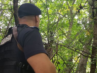 Buzău: Un pui de urs blocat într-un copac dintr-o gospodărie, salvat după două ore. FOTO