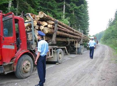 Sibiu: Poliţist agresat şi lăsat fără armă, după ce a descoperit în trafic un camion plin cu lemne tăiate ilegal