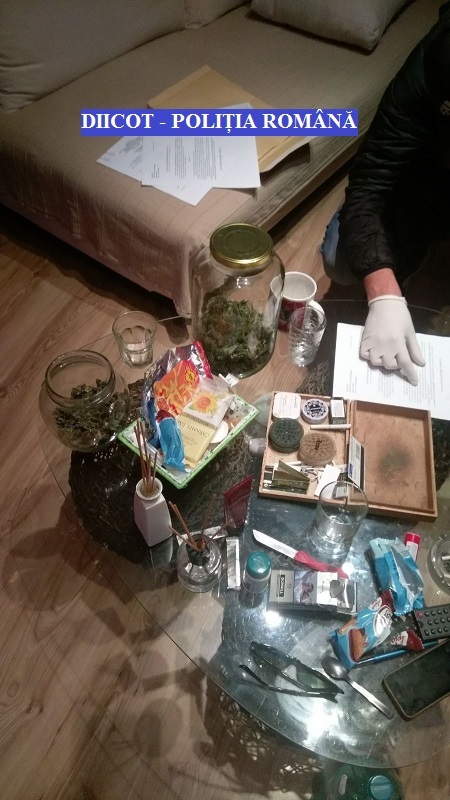 Maramureş: Percheziţii la persoane care au amenajat o cultură de cannabis pe malul Someşului
