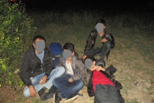 Timişoara: 15 migranţi au fost găsiţi de poliţiştii locali lângă un pasaj la care se fac lucrări de modernizare