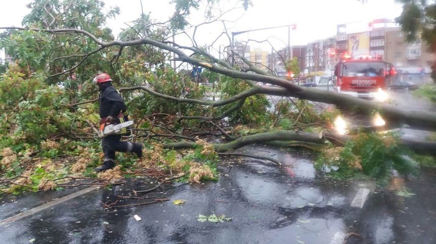 Harghita: Trafic blocat pe DN 12C, din cauza unor copaci căzuţi pe şosea