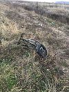 Buzău: Accidentul de pe DN 2, provocat de un şofer băut care a vrut să fugă de la faţa locului, fiind oprit de ceilalţi conducători auto