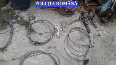 Trei trofee de căprior, capcane şi zeci de kilograme de carne de vânat, găsite în locuinţele a doi constănţeni