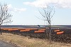 Buzău: Peste 100 de parazăpezi au fost furate de pe marginea DN 2
