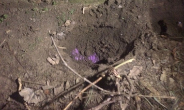 Constanţa: Poliţiştii de frontieră au descoperit peste 500.000 de lei îngropaţi în grădina unor suspecţi de contrabandă cu ţigări. VIDEO