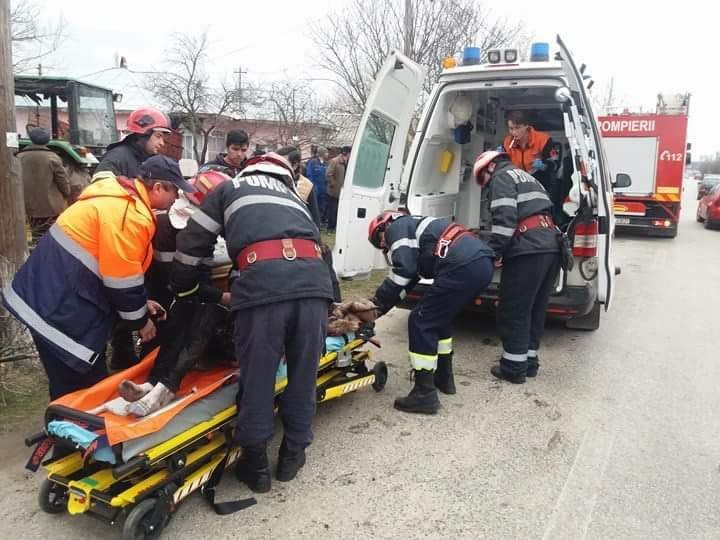 Teleorman: Adolescentă de 14 ani, rănită după ce un copac în care a intrat un tractor a căzut peste ea