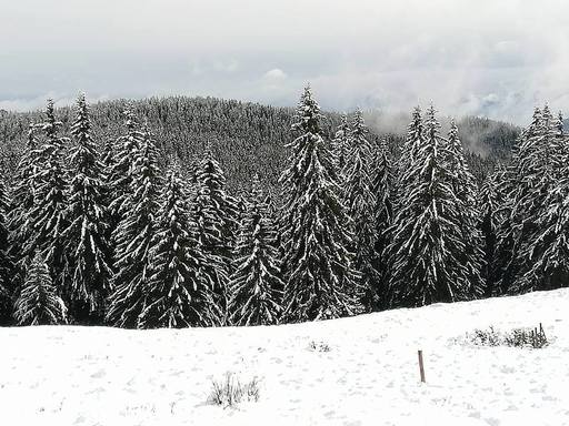Şapte turişti au plecat pe schiuri pe un traseu neschiabil din Masivul Bucegi şi au rămas blocaţi. Jandarmii intervin pentru a-i recupera