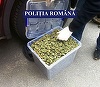 Aproape jumătate de kilogram de cocaină, un kilogram de substanţe psihoactive şi aproape 700 de grame de cannabis, confiscate în urma unor percheziţii în ultimele două sătămâni; 40 de persoane au fost reţinute sau arestate