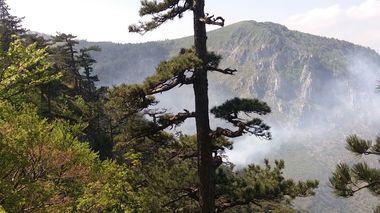 Elicopterele nu pot interveni pentru stingerea incendiului din Parcul Naţional Domogled, din cauza vântului puternic. Există pericolul extinderii focului la o pădure de fag. FOTO/VIDEO