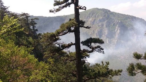 Elicopterele nu pot interveni pentru stingerea incendiului din Parcul Naţional Domogled, din cauza vântului puternic. Există pericolul extinderii focului la o pădure de fag. FOTO/VIDEO