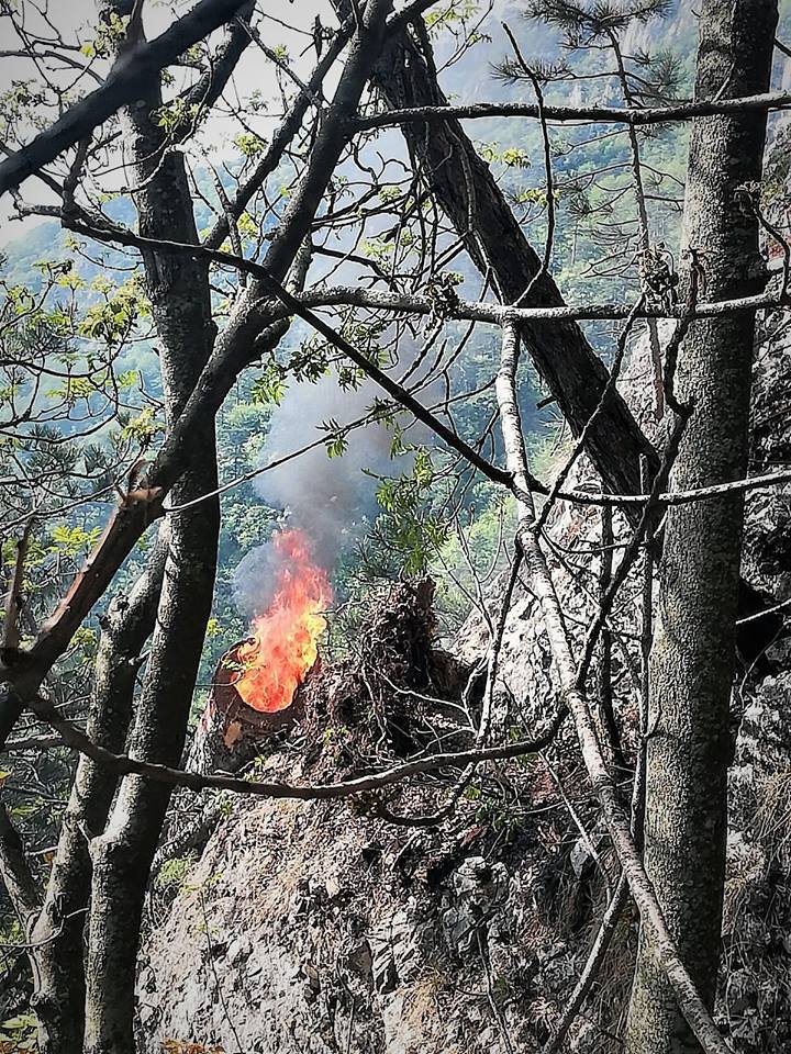 Romsilva: Incendiul din Parcul Naţional Domogled s-a extins la 4 hectare, într-o zonă stâncoasă, greu accesibilă. VIDEO