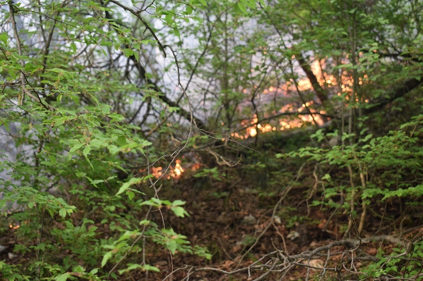 ISU Caraş-Severin: În Parcul Naţional Domogled nu se mai observă focare de incendiu, iar pompierii din judeţele învecinate s-au retras de la locul intervenţiei. VIDEO