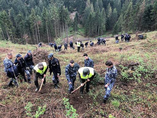 Incendiul din Parcul Naţional Domogled a fost stins; Angajaţii Direcţiei Silvice mai supraveghează zona