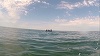 O mină din al doilea război mondial, descoperită în Marea Neagră, distrusă de scafandrii militari - FOTO

