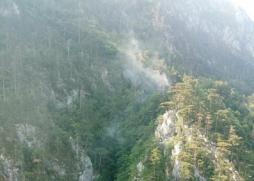 Romsilva: Incendiul din Parcul Naţional Domogled a afectat 700 demetri pătraţi de pădure de pin negru de Banat şi fag în zona de protecţie integrală; un elicopter a reluat acţiunile de stingere