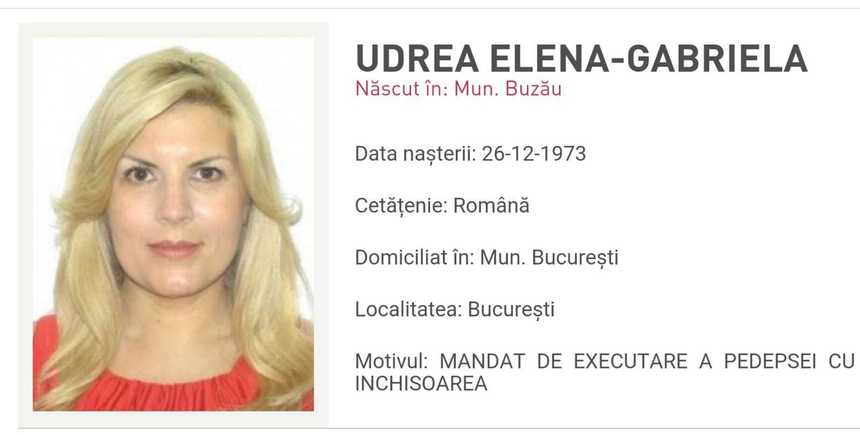 Elena Udrea apare pe site-ul Poliţiei Române ca persoană urmărită - FOTO