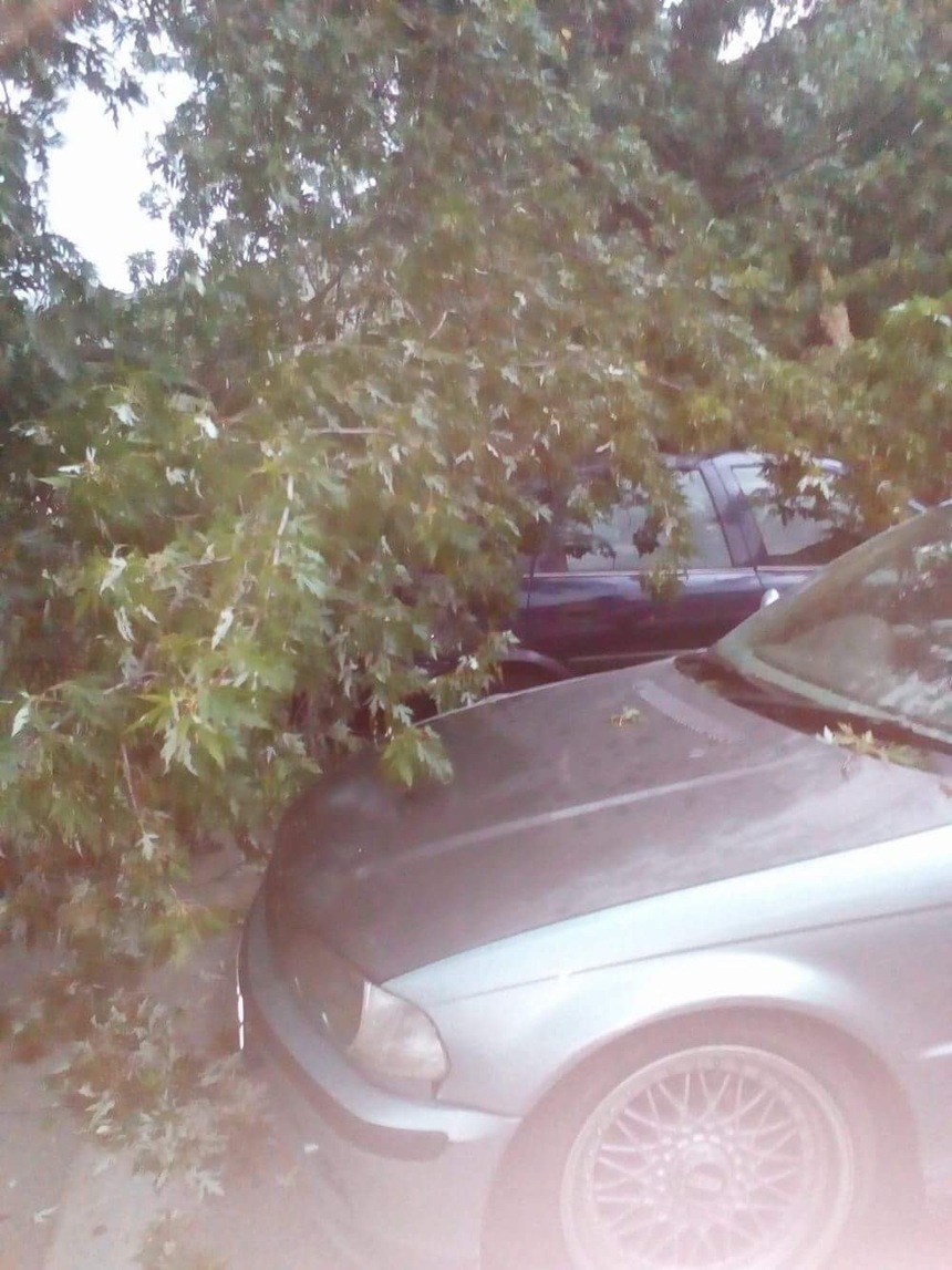 Dolj: Mai mulţi copaci s-au prăbuşit în timpul furtunii, trei maşini fiind avariate