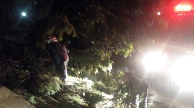 Vâlcea: Copaci doborâţi, drumuri blocate şi reţea de energie electrică avariată în urma furtunii - FOTO