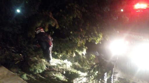 Vâlcea: Copaci doborâţi, drumuri blocate şi reţea de energie electrică avariată în urma furtunii - FOTO