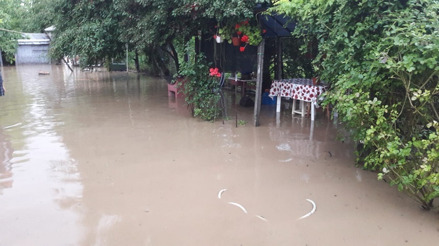Vrancea: Gospodării inundate după o ploaie torenţială - FOTO