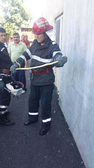 Şarpe de peste un metru lungime găsit de un şofer în compartimentul motor al maşinii sale, în Drobeta Turnu Severin. FOTO