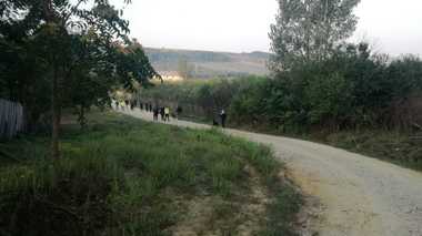 UPDATE - Dolj: Copil de aproximativ doi ani, căutat de pompieri, poliţişti şi voluntari după ce a dispărut de acasă. El a fost găsit în viaţă într-un şanţ acoperit de vegetaţie
