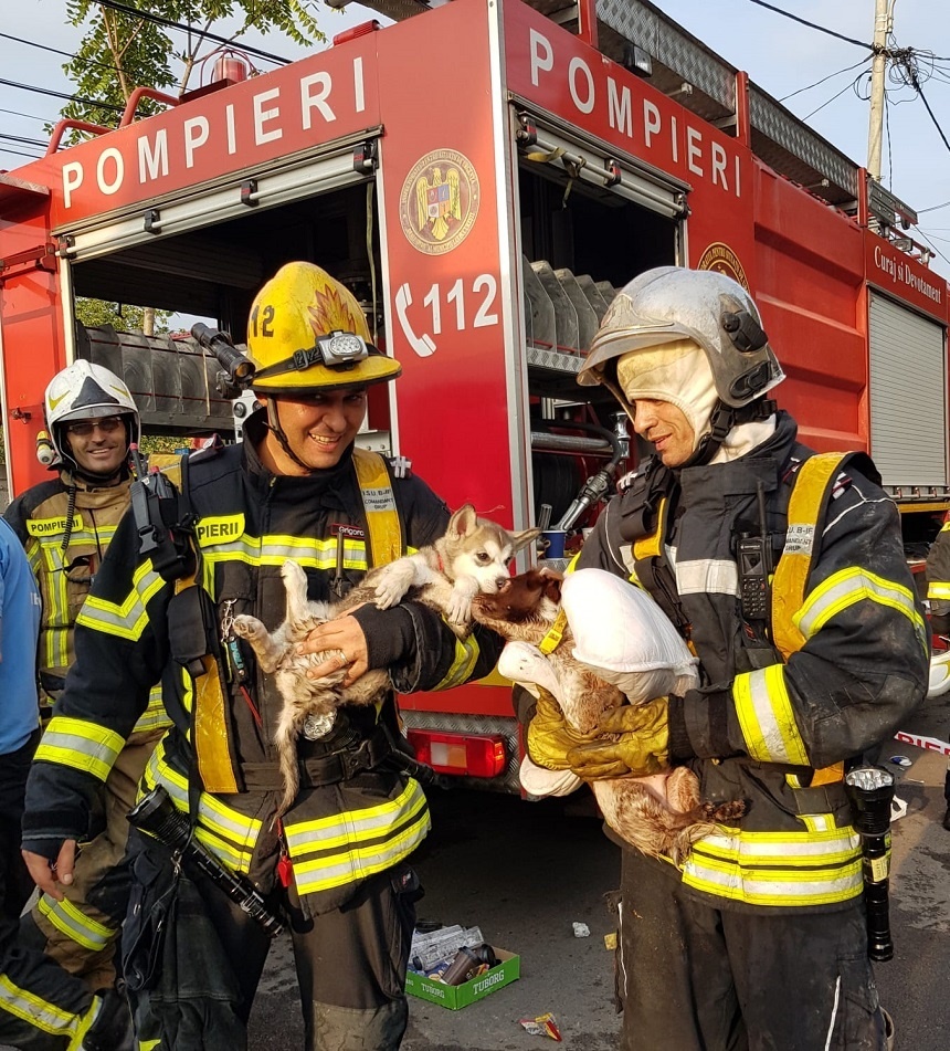 Incendiu în Capitală: Nouă persoane au primit îngrijiri medicale, două ajungând la spital; peste 100 de salvatori au intervenit pentru localizarea şi stingerea focului