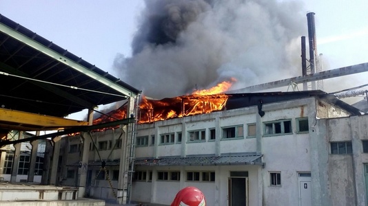 Incendiu puternic la o fabrică de prelucrare a lemnului din Drobeta Turnu Severin - FOTO


