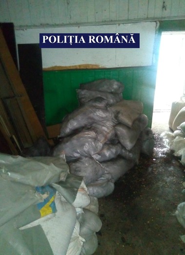 Şaptesprezece persoane au fost arestate preventiv pentru furt de cereale şi produse petroliere. Valoarea bunurilor confiscate depăşeşte 130.000 de lei