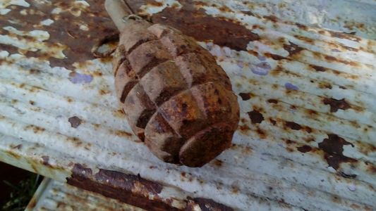Caraş-Severin: Un elev a dus la şcoală o grenadă golită de conţinut, găsită de tatăl său şi folosită ca bibelou în casă