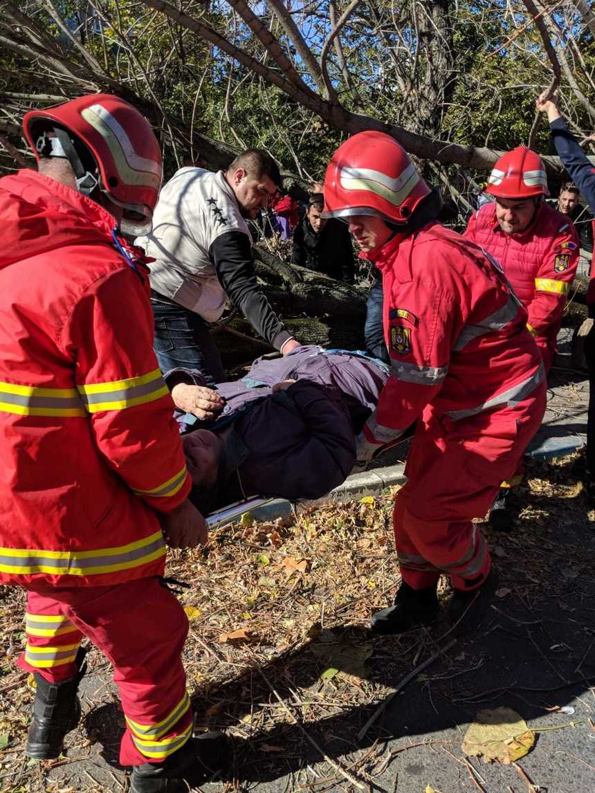 O femeie a fost rănită după ce un copac a căzut peste ea, la Craiova

