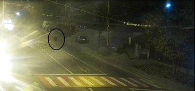 Sibiu: Un urs s-a plimbat printr-un cartier din municipiul Mediaş, fiind dirijat apoi de jandarmi pentru a intra în pădure