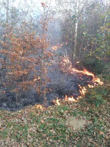 Incendiul din Munţii Semenic a fost localizat, însă elicopterul MAI nu a mai putut interveni pentru stingerea focului. FOTO