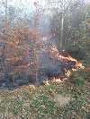 Două din trei focare ale incendiului din Munţii Semenic au fost stinse; elicopterul a avut 11 misiuni de aruncare de apă. VIDEO