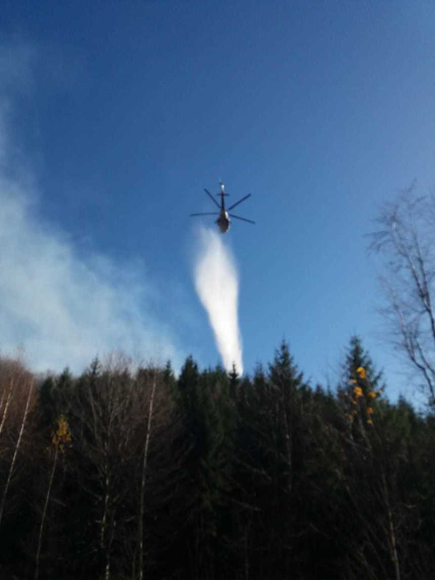 Hunedoara: Incendiu pe aproximativ 20 de hectare de litieră de pădure; se intervine şi cu un elicopter. FOTO, VIDEO