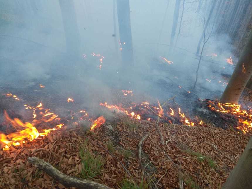 Aproape zece hectare de pădure mai ard în Parcul Natural Grădiştea Muncelului - Cioclovina din judeţul Hunedoara. Pompierii sunt în a treia zi de intervenţie. FOTO, VIDEO