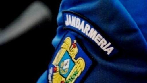 Misiune inedită pentru jandarmii bucureşteni: o femeie a anunţat că în scara unui bloc se află o felină agresivă. VIDEO