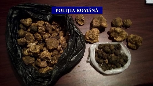 Patru kilograme de trufe recoltate fără acordul proprietarilor şi fără autorizaţie, confiscate de poliţiştii din Gorj