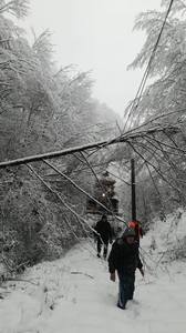 Cod galben de vânt în zona de munte a judeţelor Buzău, Prahova, Argeş şi Dâmboviţa