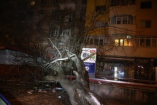 ISU Bucureşti-Ilfov a avut 115 solicitări în ultimele 10 ore, în urma fenomenelor meteorologice; cele mai multe au vizat copaci căzuţi. FOTO