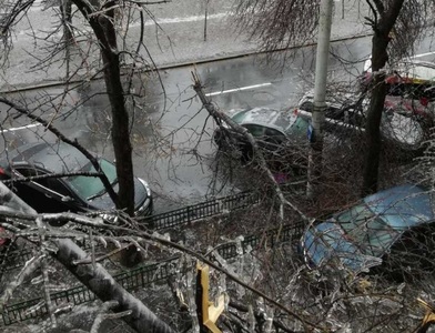Un bărbat a fost găsit inconştient pe o stradă din Bucureşti, posibl lovit de crengile unui copac